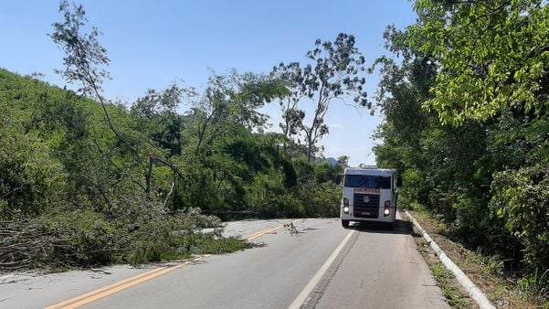 Temporal derruba árvores e bloqueia parcialmente trecho da BR 262 em Domingos Martins por Vitor Jubini