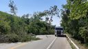 Temporal derruba árvores e bloqueia parcialmente trecho da BR 262 em Domingos Martins(Vitor Jubini)