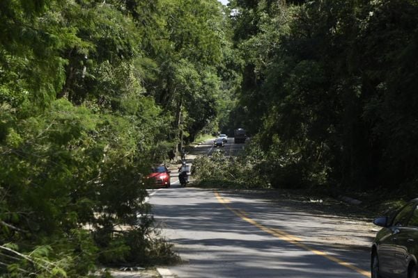 Temporal derruba árvores e bloqueia parcialmente trecho da BR 262 em Domingos Martins por Vitor Jubini