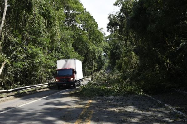 Temporal derruba árvores e bloqueia parcialmente trecho da BR 262 em Domingos Martins por Vitor Jubini