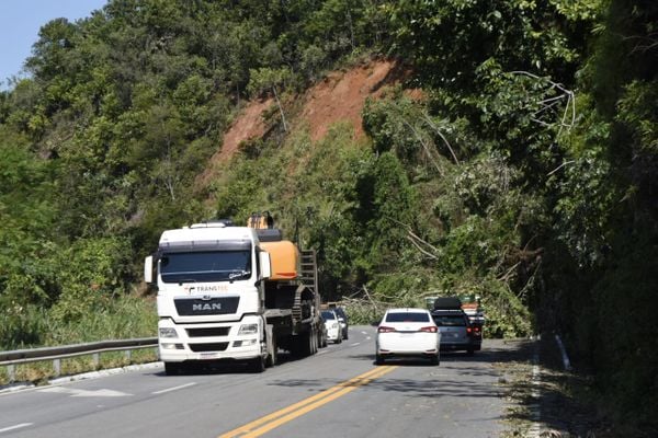 Temporal derruba árvores e bloqueia parcialmente trecho da BR 262 em Viana por Vitor Jubini
