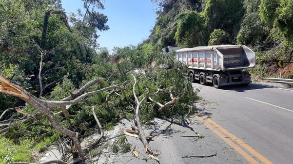Temporal derruba árvores e bloqueia parcialmente trecho da BR 262 em Viana por Vitor Jubini