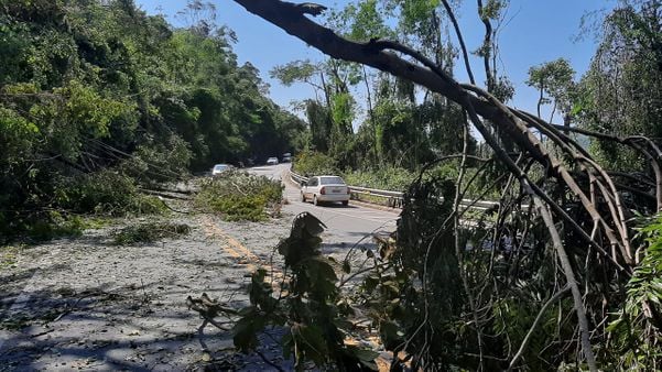 Temporal derruba árvores e bloqueia parcialmente trecho da BR 262 em Viana por Vitor Jubini