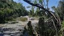Temporal derruba árvores e bloqueia parcialmente trecho da BR 262 em Viana(Vitor Jubini)