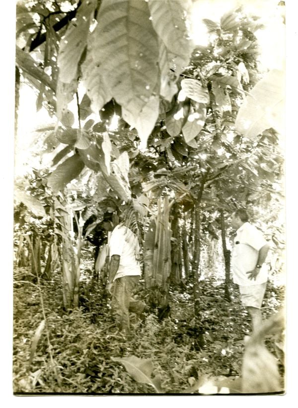 Carlos Fernando Lindenberg Filho (Cariê) visita lavoura em 1987