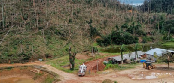 Quedas de árvores após o temporal dificulta chegadas das equipes às regiões que estão em energia elétrica no ES. Crédito: EDP