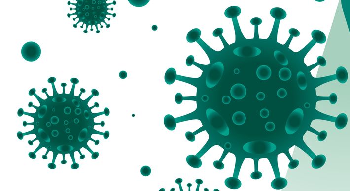 Foram registrados seis óbitos e 402 infecções em 24 horas, conforme dados divulgados nesta sexta-feira (3) pela Secretaria Estadual de Saúde