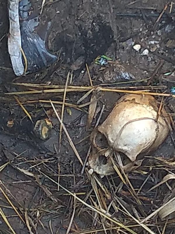 Ossada e crânio humanos são encontrados em bueiro de Cachoeiro de Itapemirim por Divulgação | Polícia Militar