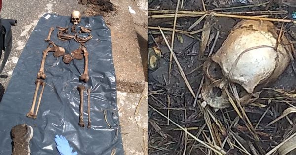 Ossada e crânio humanos são encontrados em bueiro de Cachoeiro de Itapemirim
