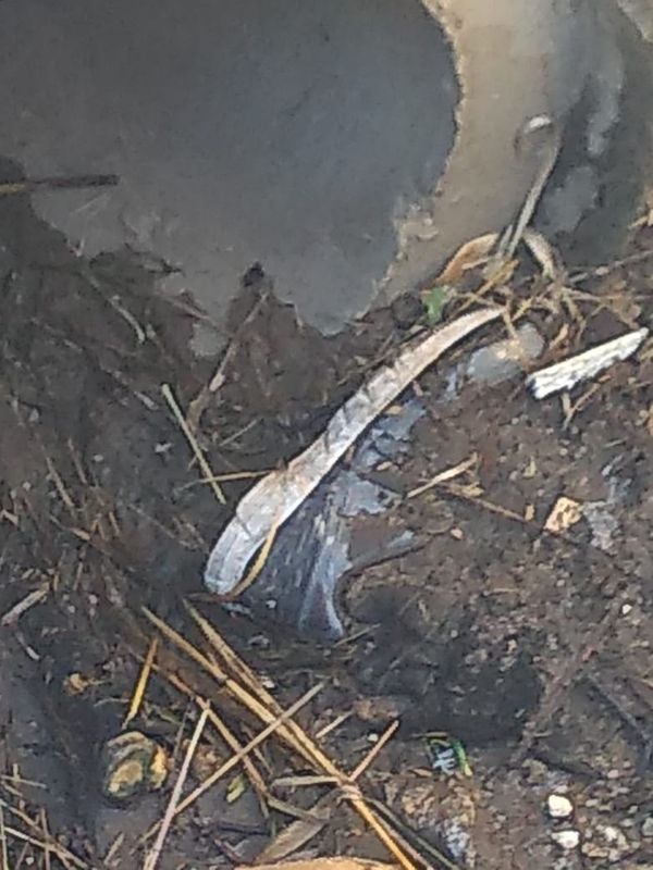 Ossada e crânio humanos são encontrados em bueiro de Cachoeiro de Itapemirim por Divulgação | Polícia Militar