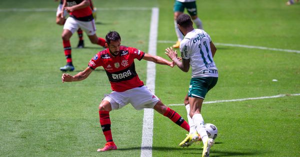 Provocação e socos: juiz de Flamengo x Palmeiras relata 'confusão