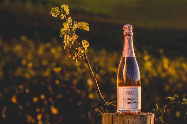 Bella Collagen Sparkling Pink, bebida à base de vinho com colágeno
