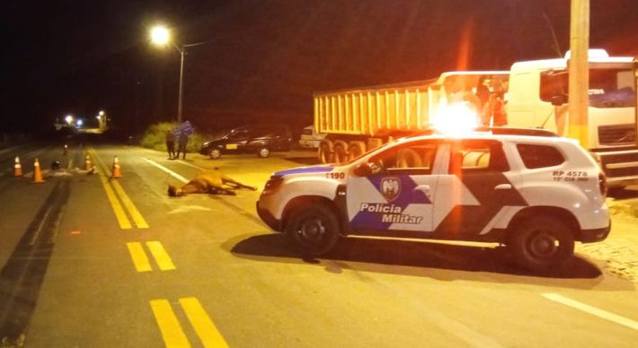 Acidente aconteceu na madrugada desta quarta-feira (14), na ES 297. O serviço de resgate do Samu chegou a ser acionado, mas o motociclista morreu no local