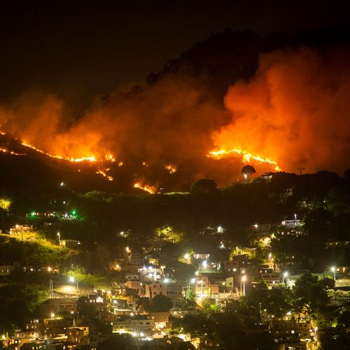 Chamas começaram a atingir a área por volta das 19h20 desta quinta-feira (15); bombeiros foram acionados