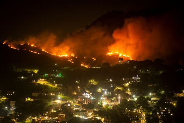Incêndio atinge área de vegetação do Parque da Fonte Grande, em Vitória