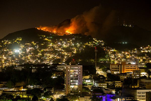 Incêndio atinge área de vegetação do Parque da Fonte Grande, em Vitória