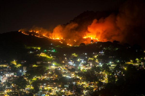 Incêndio atinge área de vegetação do Parque da Fonte Grande, em Vitória