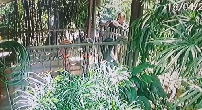 Imagens divulgadas pela polícia mostram quando José Carlos Rocha Rodrigues Marinho entra no sítio onde moravam Marinelva Venturim de Paula e o estilista Dali Atashi, conversa com o casal e, por último, deixa o local após matar a advogada e o marido