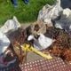 Imagem - Guarda de Vitória apreende 120 kg de cobre retirado de fios furtados