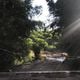 Imagem - Criminosos fazem irmãos e funcionários reféns em fazenda de Aracruz