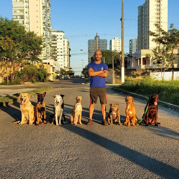 O adestrador Djalma com alguns dos seus cães em treinamento