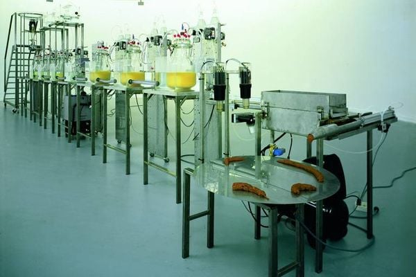 Uma máquina que reproduz o sistema digestivo humano até a produção das fezes é a obra 