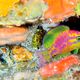 Imagem - Cientistas do ES ajudam em descoberta de peixes em Fernando de Noronha
