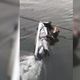 Imagem - Condutor de jet ski bate e fica preso em fios de poste no canal de Camburi