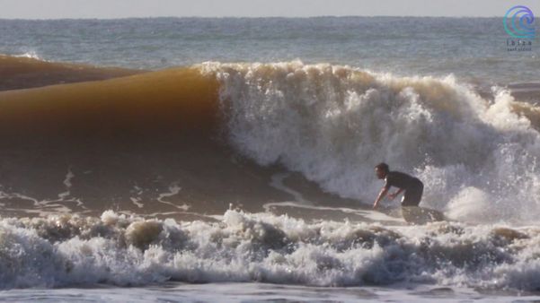 Com onda considerada perfeita, praia de São Mateus vira paixão de surfistas