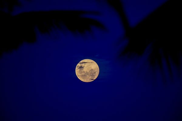 Fenômeno da Superlua ou Lua Rosa acontece nesta terça-feira (27), mas lua 