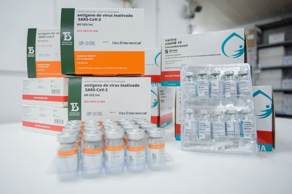 Vacinas Coronavac e Astrazeneca, em uso no plano de imunização do Brasil
