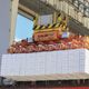 Imagem - Quase metade das exportações do ES fica livre de tarifaço; confira tabela