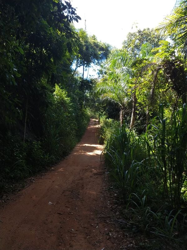 Diferente de muitos pontos turísticos do Estado, a trilha para chegar na pedra O Frade e a Freira, é curtinha e de fácil acesso. O restante do caminho pode ser feito de carro