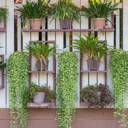 A Gazeta | Saiba como criar um jardim vertical ideal para espaços pequenos