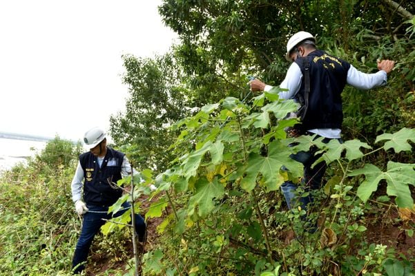 Crea realiza vistoria na tirolesa do Morro do Moreno por Fernando Madeira