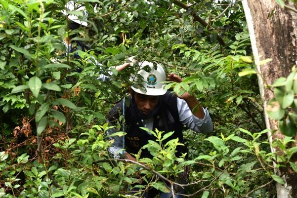 Crea realiza vistoria na tirolesa do Morro do Moreno por Fernando Madeira