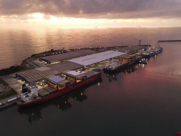Portocel, em Aracruz, vai passar a exportar celulose solúvel da empresa LD Celulose