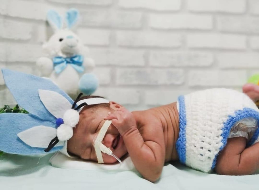 Bebês internados em maternidade escola ganham mesversários da equipe  Neonatal; veja fotos - Ceará - Diário do Nordeste