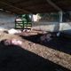 Imagem - Suspeitos de invadir fazenda, fazer família refém e matar gado são presos no ES