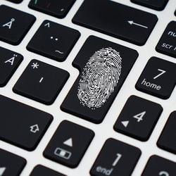 Um porta-voz do Google afirma que o problema não decorreu de vazamentos da empresa. A Apple não quis comentar, e a Meta, dona do Facebook, não respondeu até a publicação da reportagem