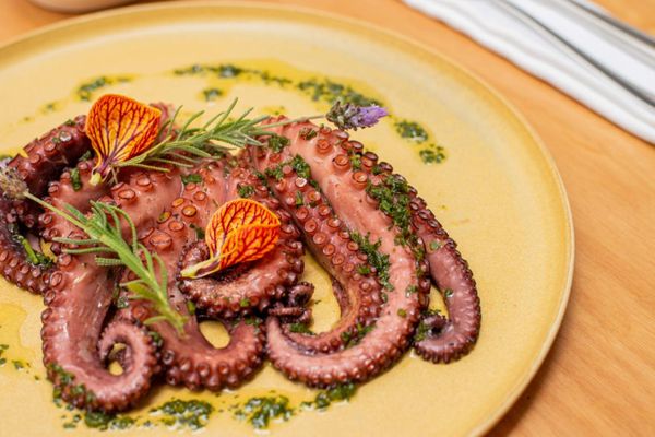 Polvo grelhado e servido com azeite de gremolata (R$ 145/serve de 2 a 3 pessoas) por Pedro Melo