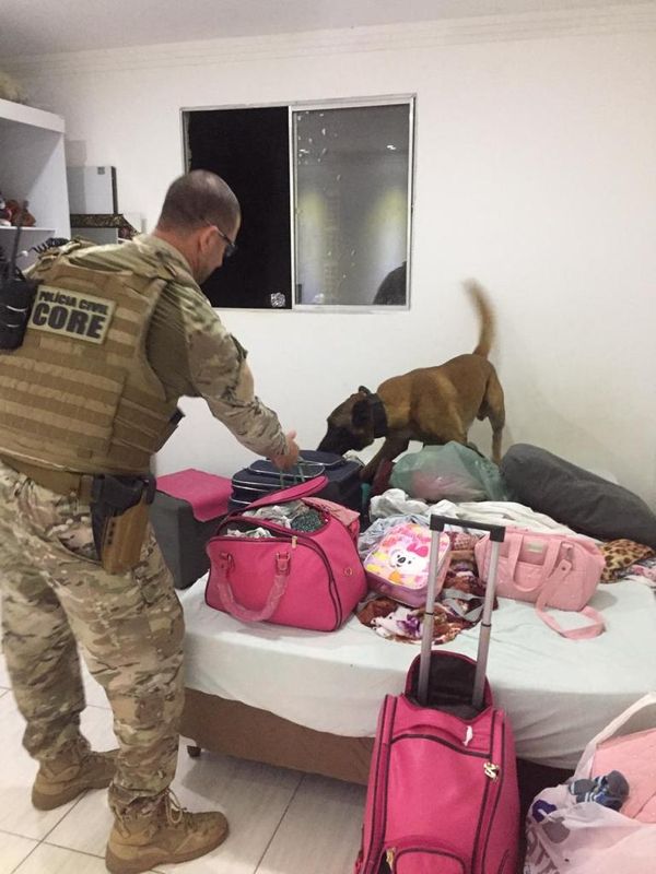 Droga foi localizada dentro de uma caixa de papelão com auxílio do cão Wookie