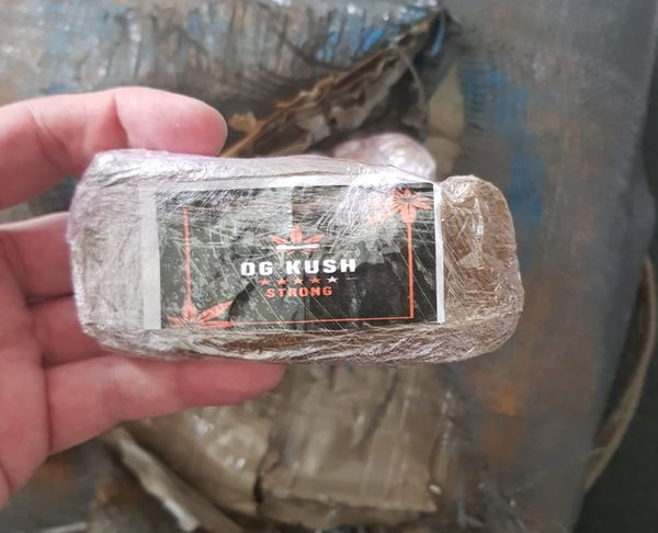  PRF encontra droga escondida em carga de coco na BR 101