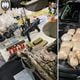Imagem - CIMEsp desmonta laboratório de drogas no Bairro da Penha, em Vitória