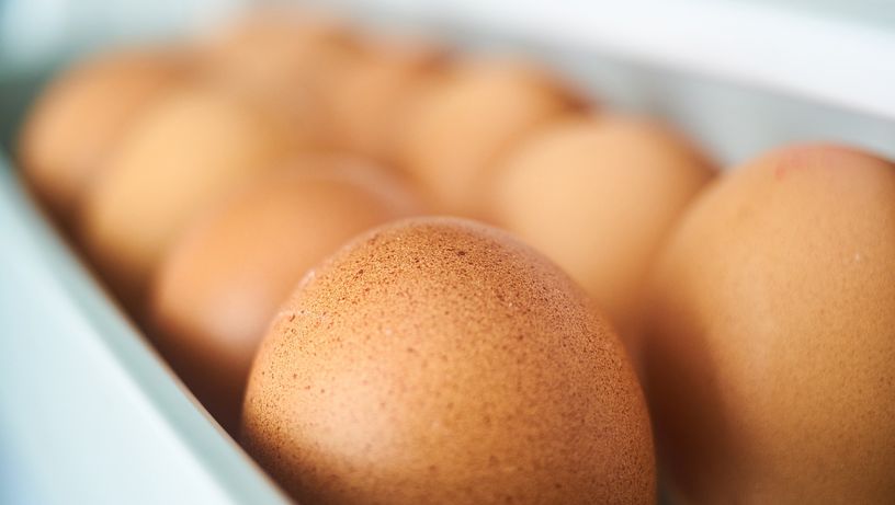 Saiba como organizar a sua geladeira