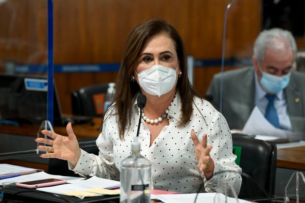 A senadora Kátia Abreu (PP-TO)