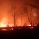 Imagem - Grande incêndio atinge área próxima à Reserva de Sooretama