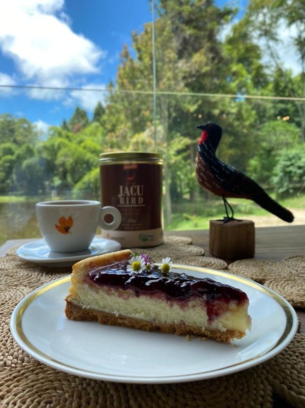 Café servido na Casa Camocim, em Pedra Azul
