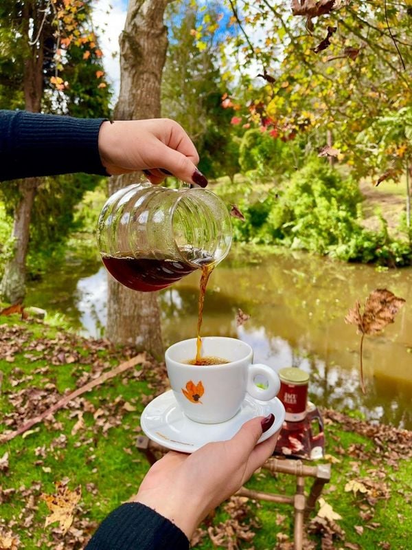 Café filtrado  por Casa Camocim/Divulgação