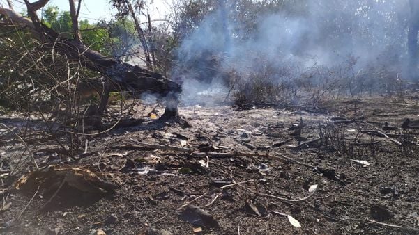 Incêndio atinge área de vegetação em Sooretama por Érika Carvalho 